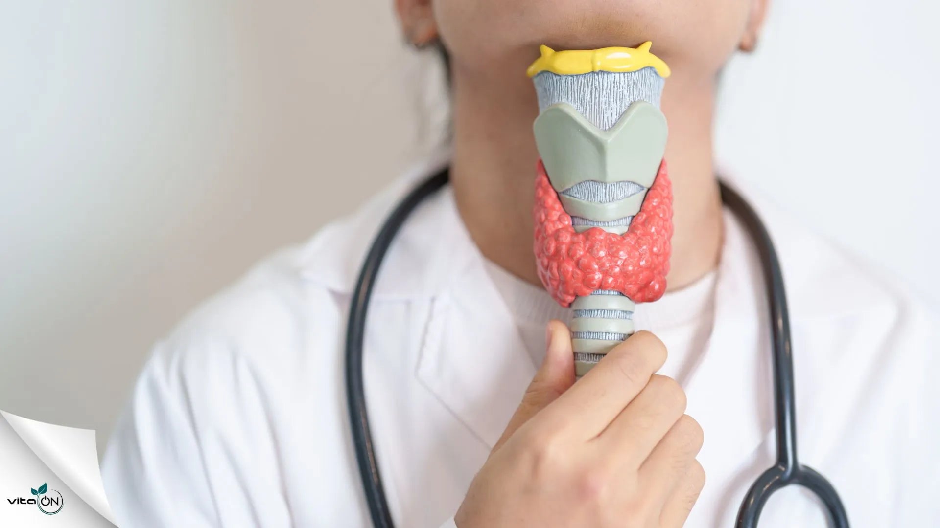 Behandlung von Hashimoto