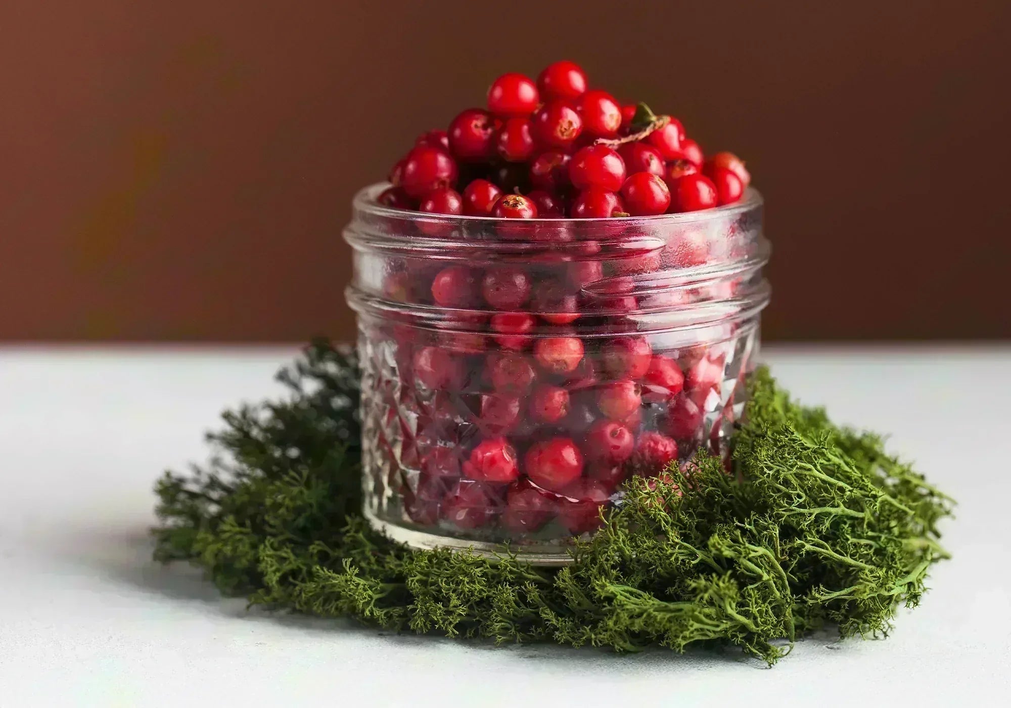 Червена боровинка - ползи и лечебни свойства